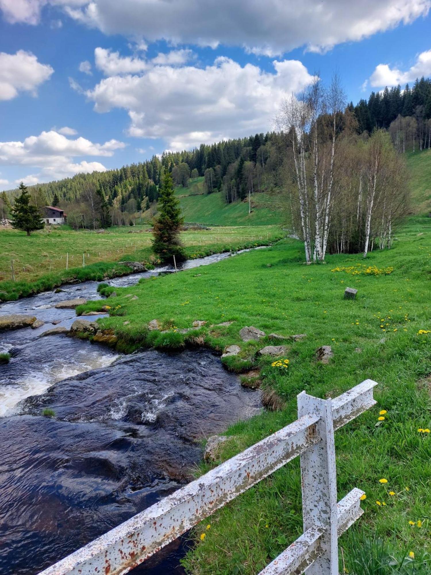 Wellness Chata Rosnatka Kvilda Kültér fotó